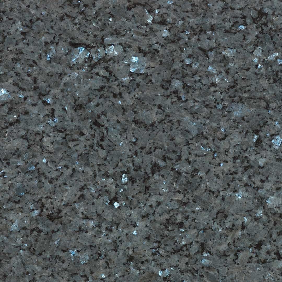 Vaalea labrador thumbnail